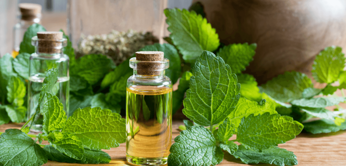 Quelle est la plante la plus efficace pour dormir ?