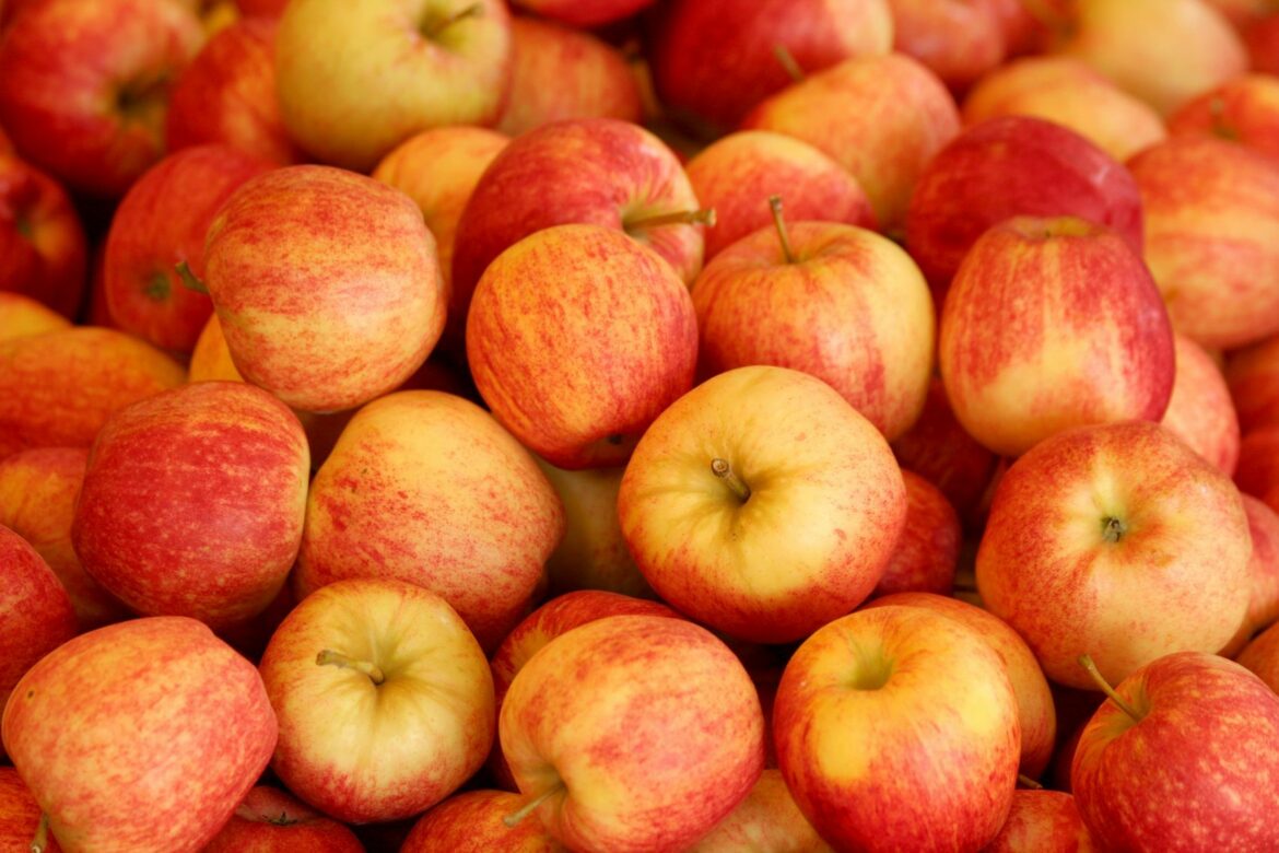 Quelle est la pomme la plus chère ?