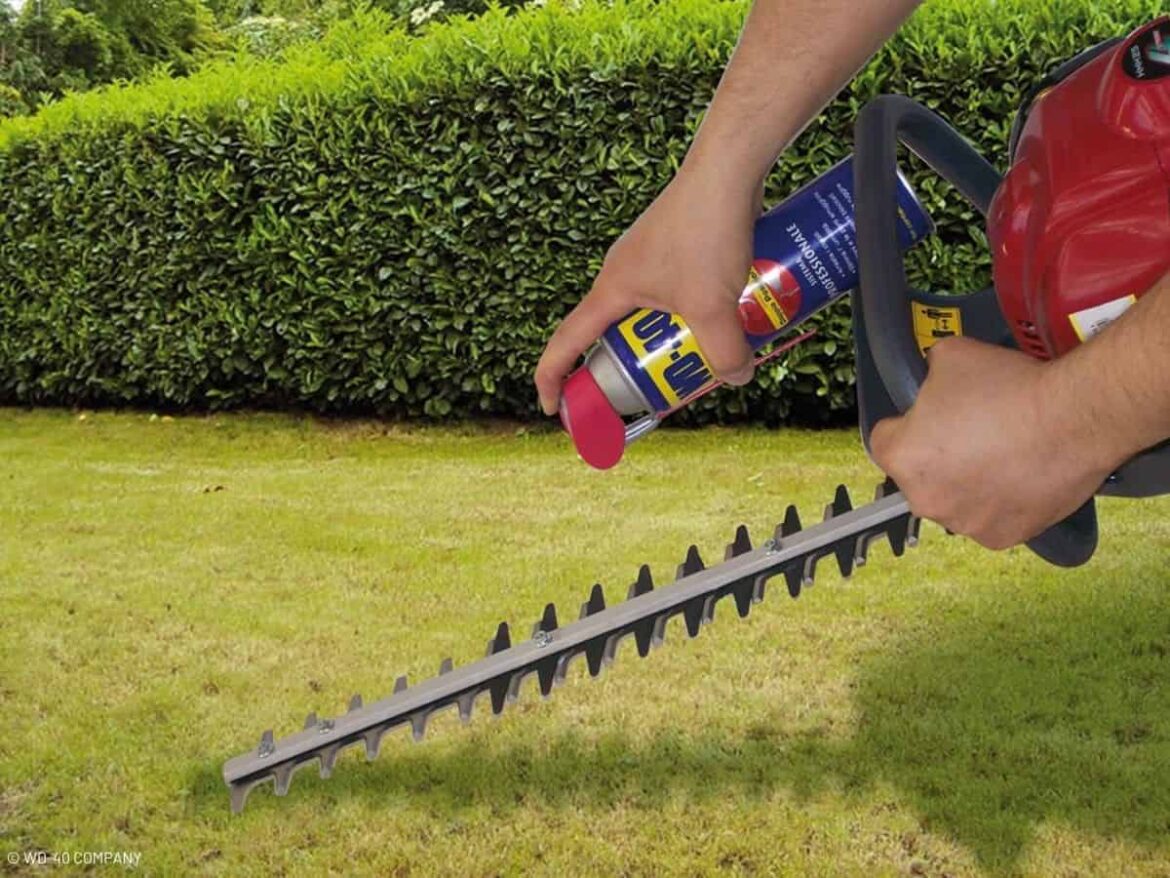 Quelle graisse pour taille-haie ?