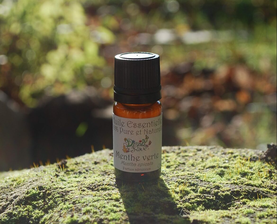 Quelle huile essentielle contre les fourmis dans le jardin ?