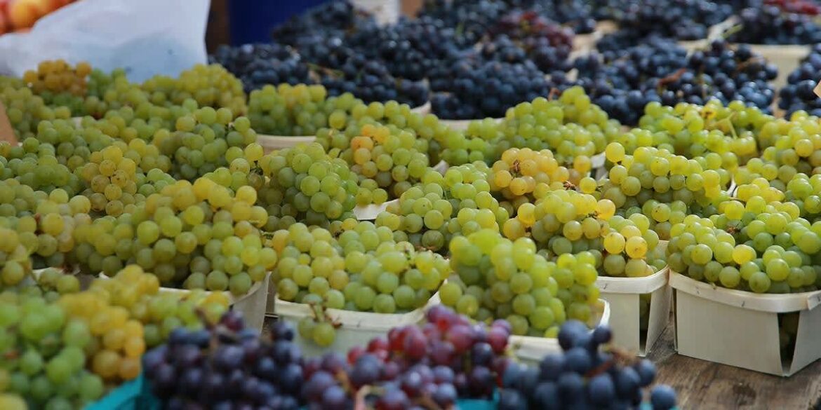 Quelle quantité de raisin par jour ?