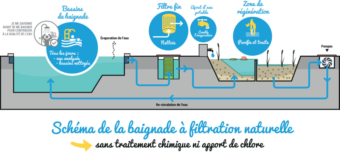 Quelle quantité d'eau s'évapore d'une piscine par jour ?