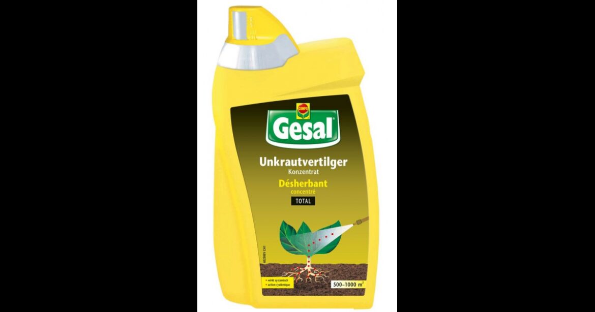 Quelles sont les maladies fongiques ?