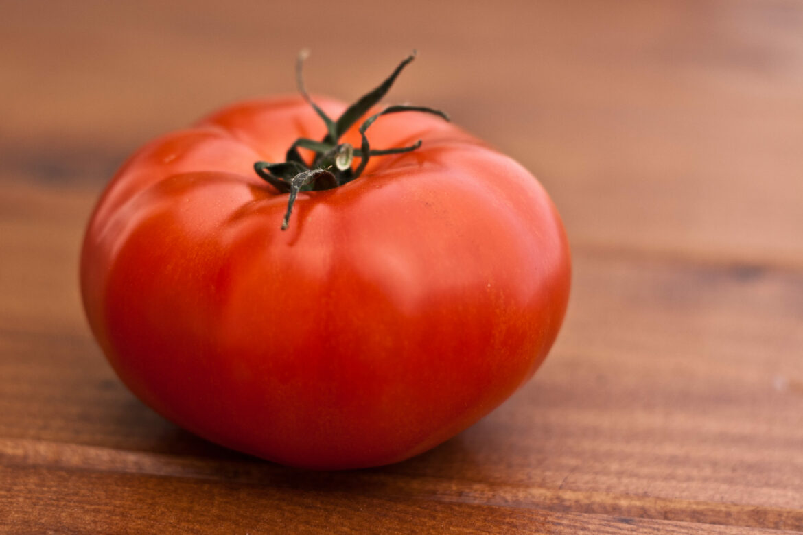 Quelles sont les meilleures tomates anciennes ?