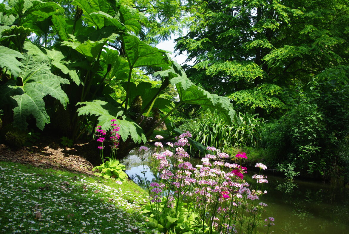 Quelles sont les plantes ?