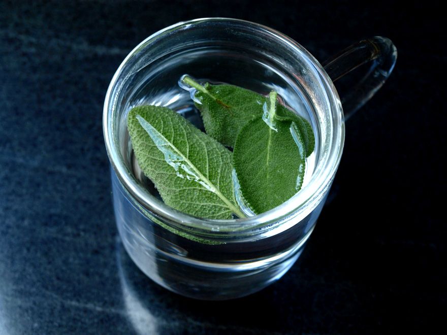 Quelles sont toutes les vertues de la sauge fraîche ? Housekeeping Magazine Idées Décoration