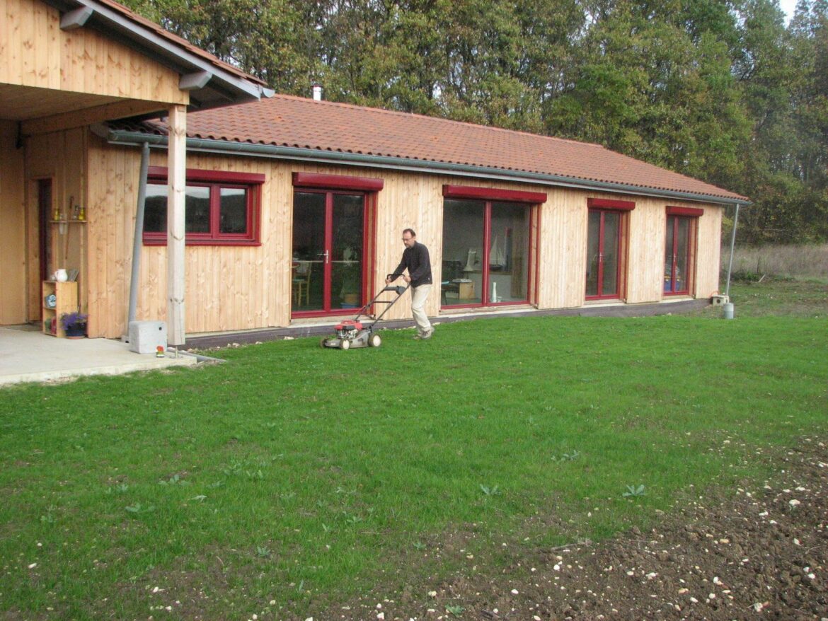 Quels arbres planter en décembre ?