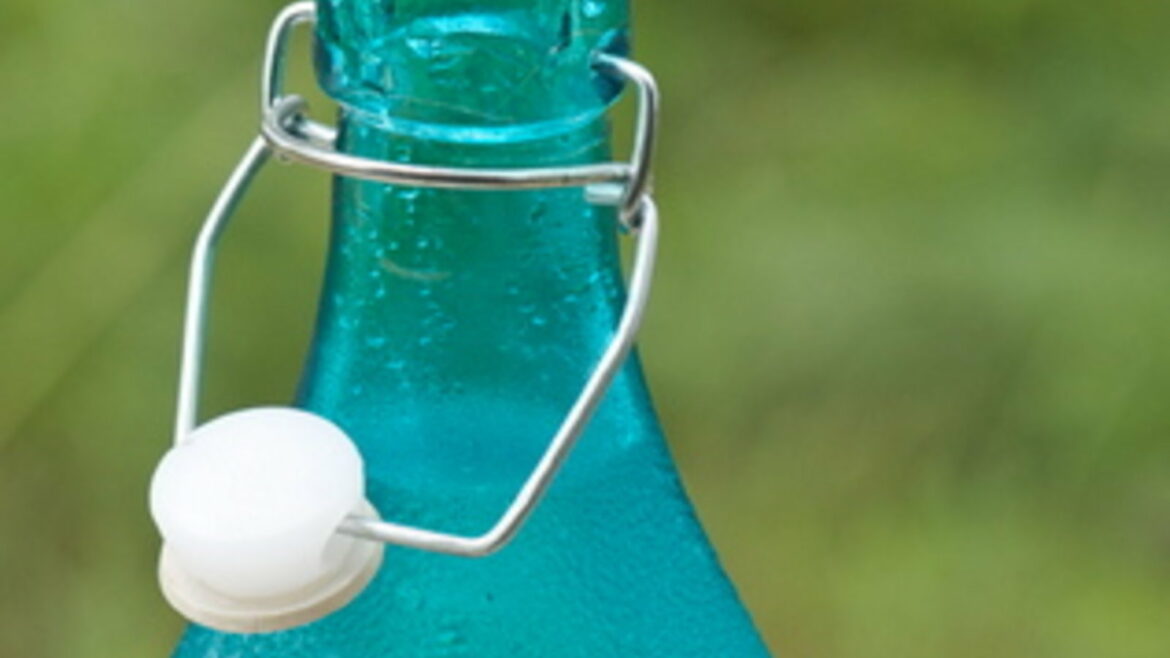 Quels sont les arbres qui boivent le plus ?