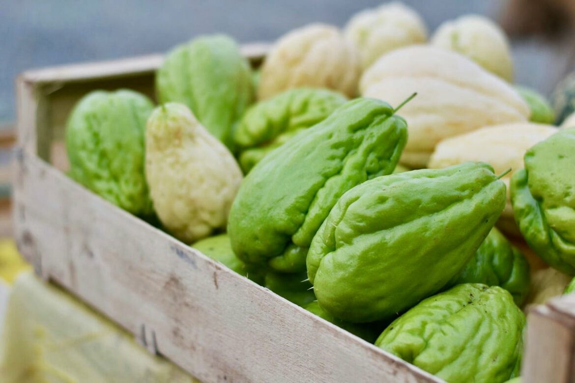 Quels sont les bienfaits de la christophine ?