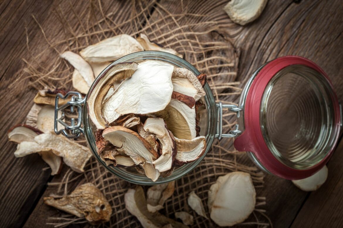 Quels sont les symptômes d'une intoxication aux champignons ?