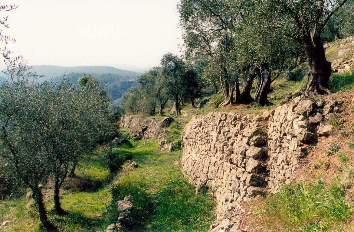 Qu'est-ce qu'un terrain en restanque ?