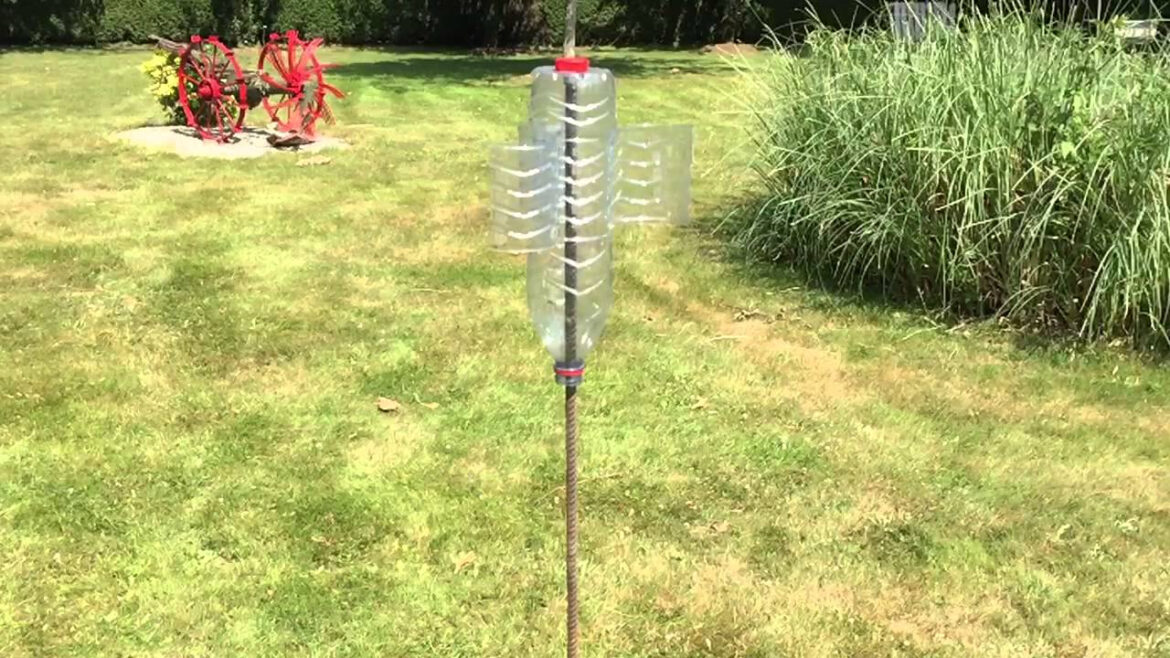 Qui est le prédateur de la taupe ?